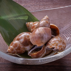 おつまみバイ貝