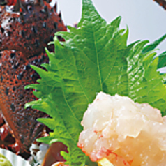 伊勢海老のお造り