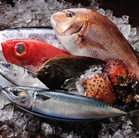 宮城の新鮮魚介名物料理。素材にこだわり有り！
