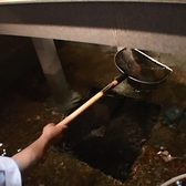 いけすから取り出されたばかりの鮮魚をご堪能いただけます。