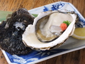 料理メニュー写真 岩牡蠣