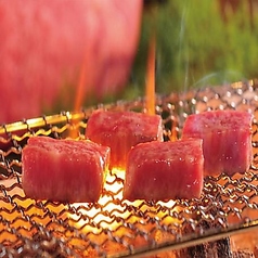 海老の髭の特集写真