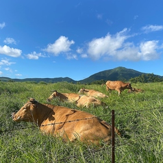 熟成させた熊本のあか牛も炭や薪で調理