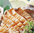 料理メニュー写真&nbsp;鮑のお造り