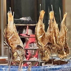 新橋マグロ漁港のコース写真