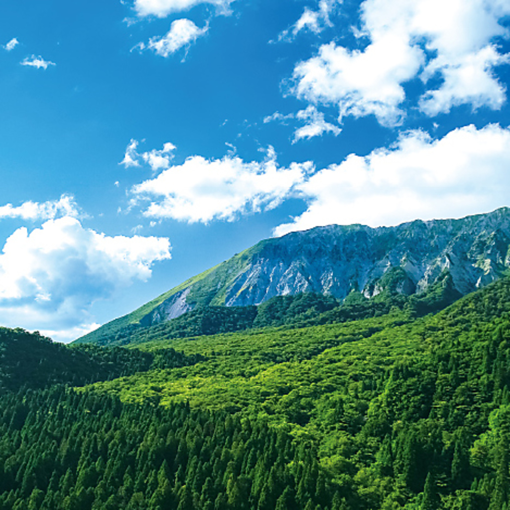 名峰大山の自然と天然水で生き生きと育ったのが≪大山どり≫です。