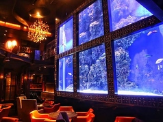 AQUA RESTAURANT&BAR LUXIS ラグシスのコース写真