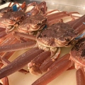 料理メニュー写真&nbsp;数量限定　県内産ズワイがに