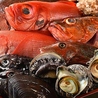 魚河岸料理 夢やのおすすめポイント3