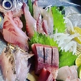 高知県の宿毛・須崎・宇佐漁港から直送で仕入れている鮮魚は、お造りや煮付けなど多彩な形で提供。特におすすめは「おまかせお刺身盛り合わせ」です。さらに、肉厚で脂がたまらない土佐名物うつぼ料理を、わら焼きタタキや唐揚げでご用意。抜群に美味しい高知の恵みを心ゆくまでご堪能ください！