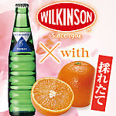 ウィルキンソン炭酸水