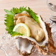 熟成魚と全国の日本酒　魚浜～さかな～　柏の写真2