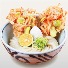 生桜海老と新玉ねぎのかき揚げ おろし醤油