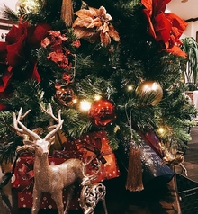 ダイニングカフェ ラ・パレッタのコース写真