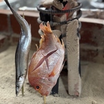 新鮮な魚を炉端で焼き上げて旨味を引き出します。