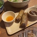 料理メニュー写真&nbsp;揚げ春巻き