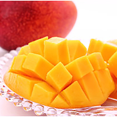 【ゴロゴロフルーツスタイル】 ゴロゴロマンゴー