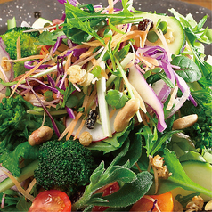 【神戸市西区産】朝採れ野菜の農家サラダ