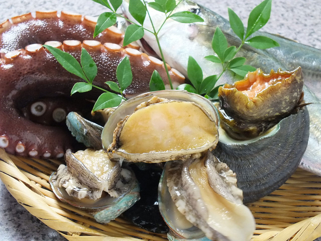 地物の鮮魚を心ゆくまで…。贅沢な会席から、リーズナブルな飲み放題メニューまで各種ご用意