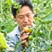 県立農業高校OBの総力戦!!県立農業高校OB松井さんが愛情たっぷり込めた県農野菜を使用。松井農園のトマトはジャムにも使用されるほど糖度たっぷり♪レストランで冷やしトマトとして提供しています。