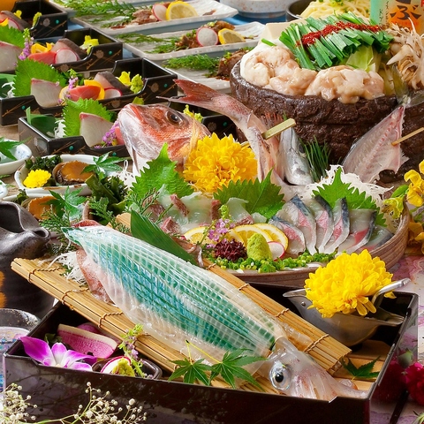 活イカが絶品です！日本酒との相性は最高に抜群ですので是非ご一緒にお召し上がりを！