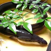 うなぎ料理承ります。