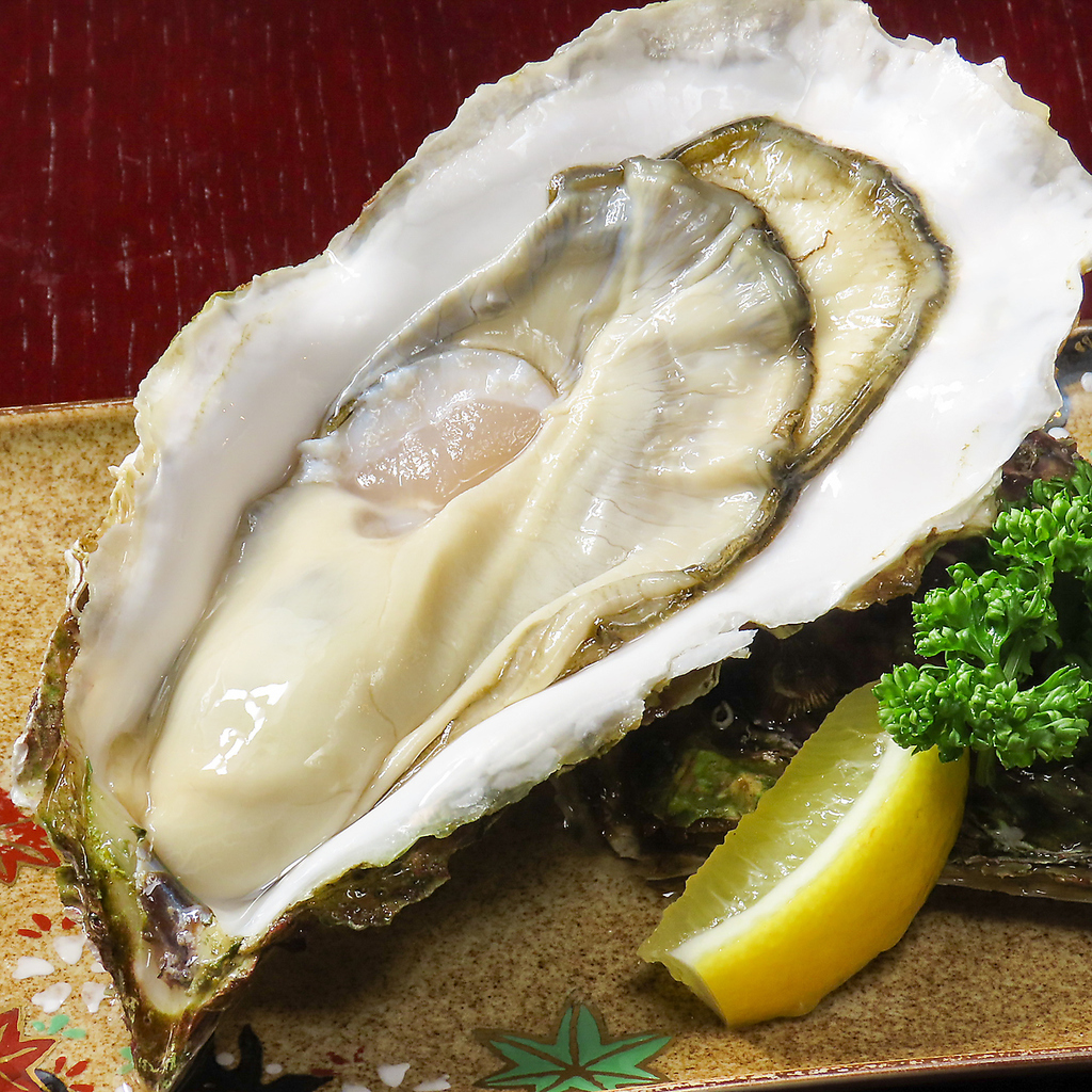 三陸居酒屋 とらやの写真ギャラリー