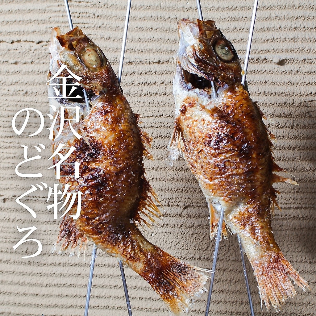 脂乗りが良く舌の上でとろける味わいの「のどぐろ」は、お造りや炉端の炭火で焼いた一本焼きで！