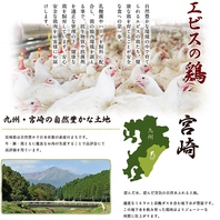 宮崎の自然豊かな大地で育ったこだわりの鶏を使用。
