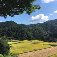 コウノトリが育む…兵庫県豊岡市のお米を使用