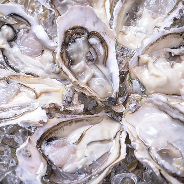 至福のお刺身とウニを堪能 青龍のおすすめ料理1