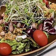 島豚のタコスサラダ