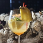 accent アクセント 京都河原町の写真ギャラリー