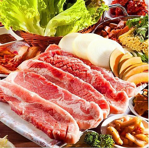 生サムギョプサル専門店 ハンス 新大久保店(新大久保/韓国料理