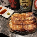 料理メニュー写真 Bigチーズギョーザ