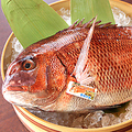 料理メニュー写真 季節のブランド魚を赤字大特価でご提供。今時期は『愛媛県産・みかん鯛』お刺身