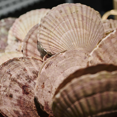 北海道ホタテ焼き