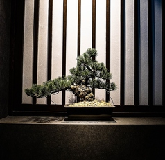 焼肉よいんのコース写真