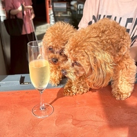 愛犬と一緒に楽しめる2階席