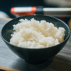 白ごはん