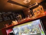 当店イチオシのコケリウムが皆様をお出迎え！