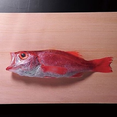 【限定】白身魚の王様「のど黒」定食