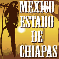 オーガニック・メキシコ