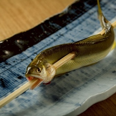 鮎