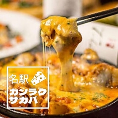 カンラクサカバ 名古屋の写真