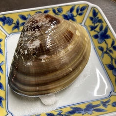 桑名産超特大天然ハマグリ１個の写真