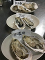 料理メニュー写真 生牡蠣食べ比べ