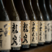 青雉 海老名の写真