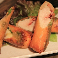 ささみと明太チーズの揚げ春巻き