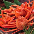 料理メニュー写真 ゆで紅ずわい蟹